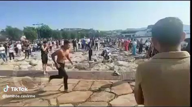 Değişik sesler çıkararak denize atladılar