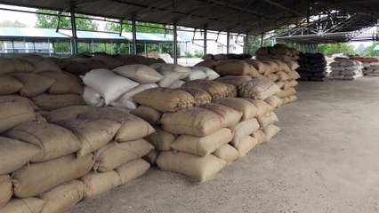 मंडी के शेडों में व्यापारियों का कब्जा