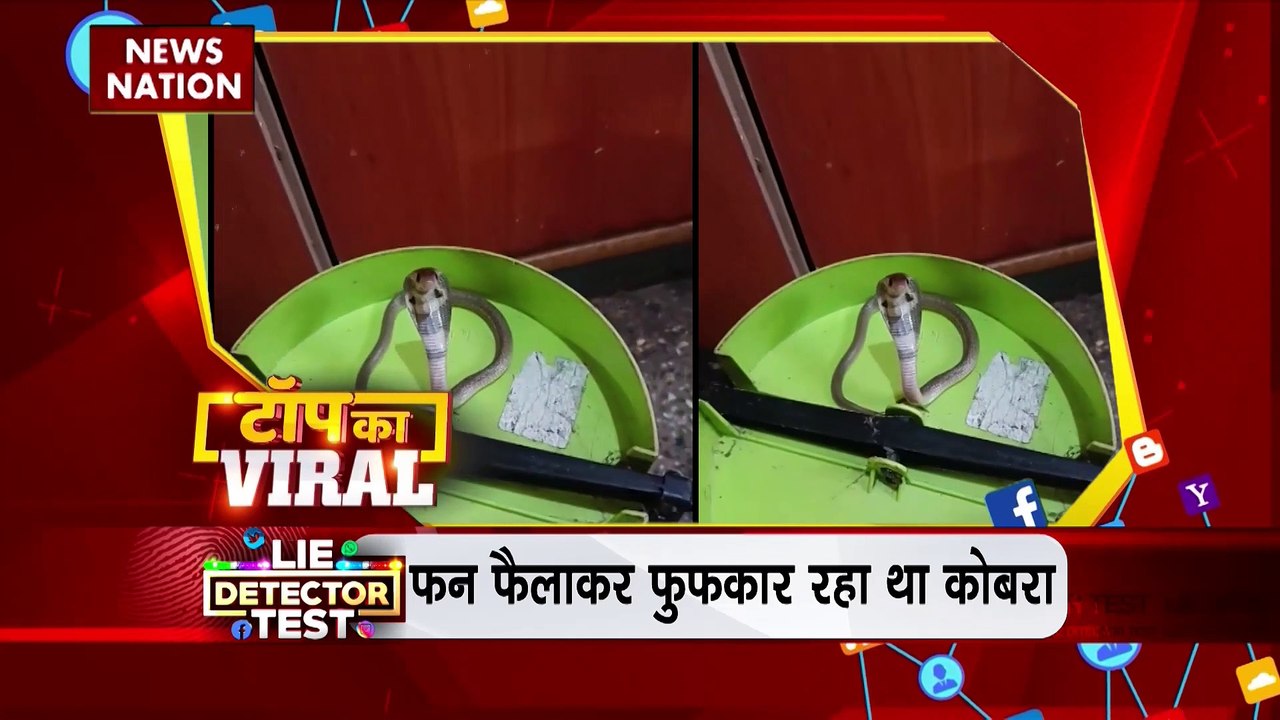 Viral Videos : देखिए सोशल मीडिया पर वायरल वीडियो का Countdown