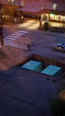 Seagulls Divebomb Pedestrians At Intersection