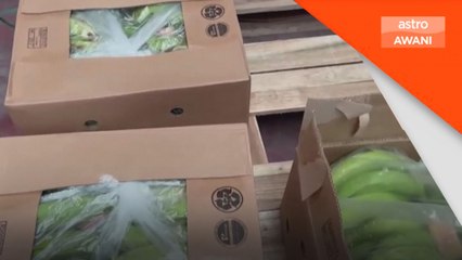 Seludup kokain dalam kotak pisang