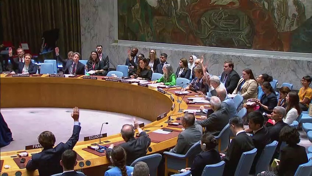 UN-Sicherheitsrat besiegelt Ende von Minusma-Einsatz in Mali