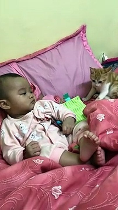 Ce chaton va avoir la peur de sa vie à cause d'un bébé qui éternue