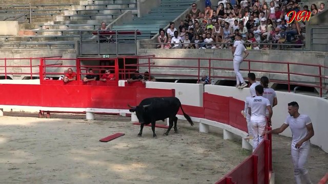 Arènes de Beaucaire Taureaux jeunes 29 juin 2023