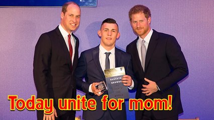 Harry and William UNITE to honor their mother Diana's award