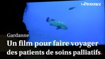 Filmer les fonds marins du monde entier pour faire voyager une dernier fois les patients du centre de soins palliatifs de Gardanne