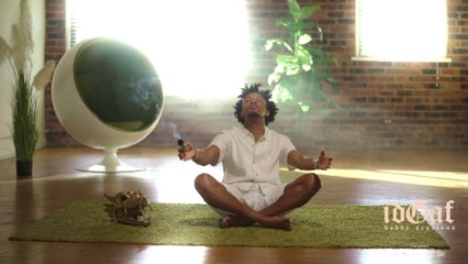 Bobby Sessions - idGaf (Zen Visualizer)