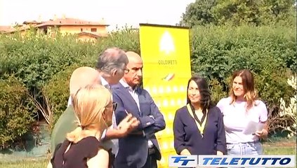 Video News - AGRO-EDUCAZIONE: CIBO E GIOVANI