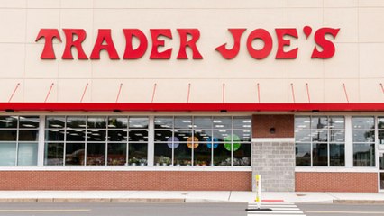 These Cute Ceramic Minivan Planters from Trader Joe's Are Perfect for Summer