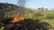 Bombeiros combatem incêndio em vegetação às margens da PRc-467