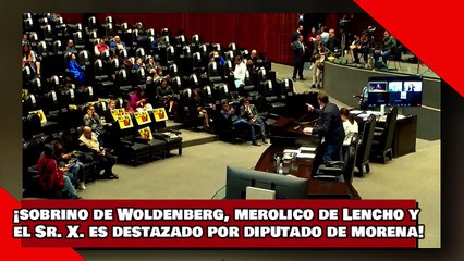¡VEAN! ¡sobrino de Woldenberg, merolico de Lencho y el Sr. X. es destazado por diputado de morena!