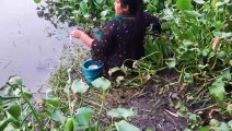 Amazing girl fishing _ Catching catfish _ koi fish _ Best Hook Fishing