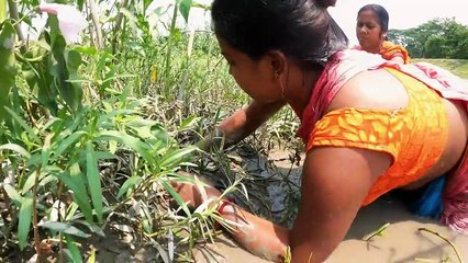 Video herunterladen: Amazing Hand Fishing by Village Women _ Incredible Fishing Techniques on River