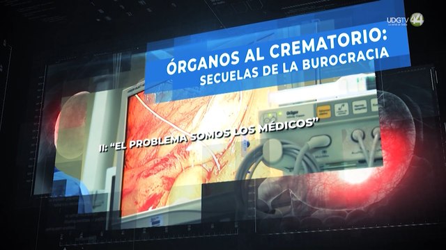 Órganos al crematorio: secuelas de la burocracia | “El problema somos los médicos”