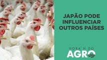 Embargo do Japão à carne de frango e o futuro da avicultura no Brasil I HORA H DO AGRO