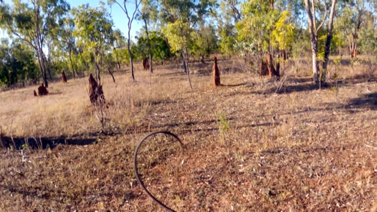 Outback NT star set to break whip cracking world record