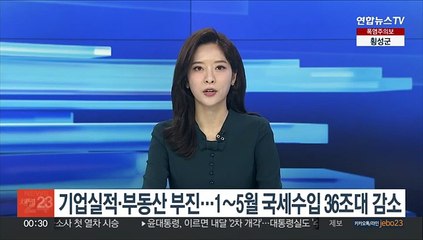 Descargar video: 기업실적·부동산 부진…1~5월 국세수입 36조대 감소