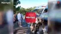 İzmir'de feci kaza! Ölü ve yaralılar var