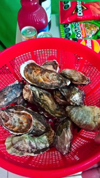 ¡Bienvenidos a un festín marino lleno de sabores y bebidas tentadoras! En este video, te presentamos una selección de ostiones con clamato, mariscos frescos como almejas chocolatas y una amplia variedad de bebidas, desde cervezas hasta tequila y otros lic