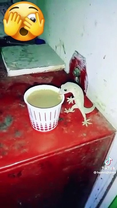 VID-20230608-WA0000