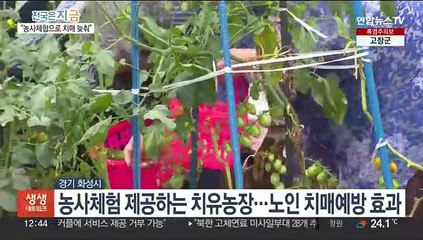 농사체험…노인 '인지장애·우울증' 개선 효과