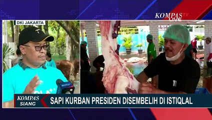 Télécharger la video: Sapi Kurban Milik Jokowi dan Maruf Amin Disembelih di Masjid Istiqlal