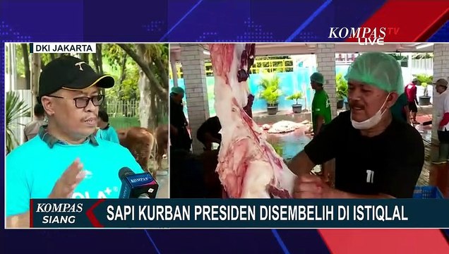 Sapi Kurban Milik Jokowi dan Maruf Amin Disembelih di Masjid Istiqlal
