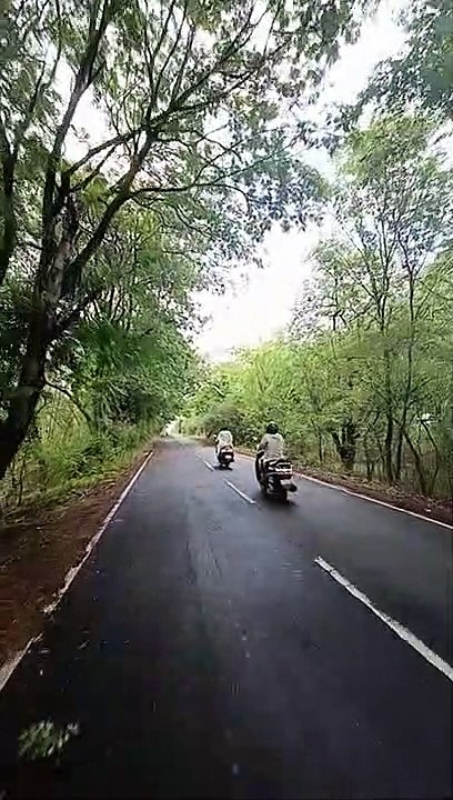38 लाख पौधों से होगा धरती का शृंगार, हरियाली से गुलजार होगी संस्कारधानी