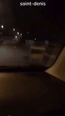 Paris'te Hayvanat Bahçesindeki Hayvanlar Serbest Bırakıldı