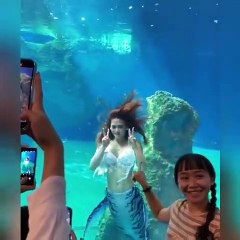 Çin'deki dev akvaryumda yapılan "Deniz kızı" şovu viral oldu