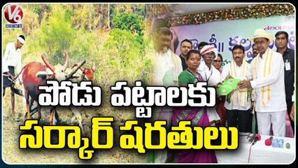 Telangana Govt Conditions On Podu Land Pattas | V6 News