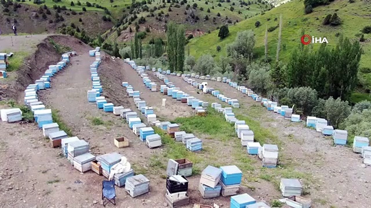 Es wird erwartet, dass der Ertrag des firmeneigenen Zara-Honigs zurückgeht