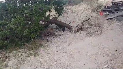 Elazığ'da fırtına ağaçları kökünden söktü