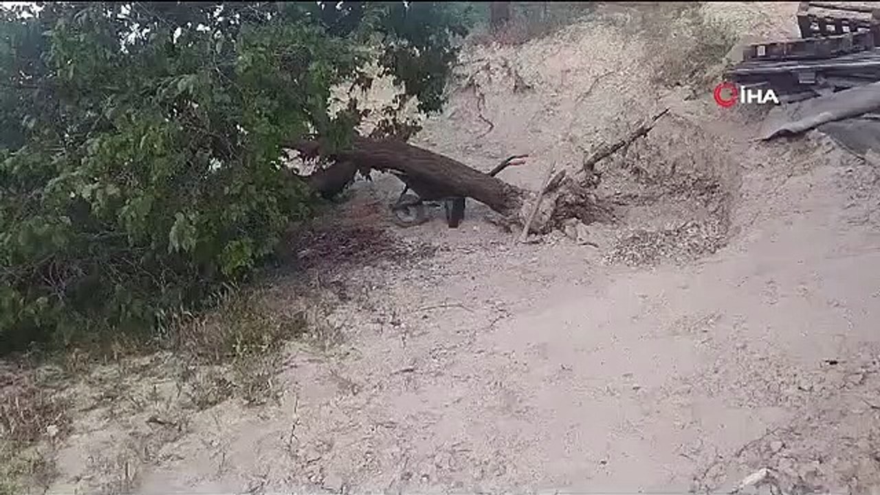 Sturm entwurzelte Bäume in Elazig