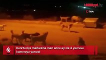 İlçe merkezine inen anne ayı ile 2 yavrusu kameraya böyle yansıdı