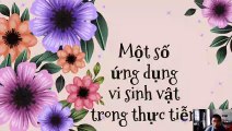 Sinh 10 - Bài 27 Ứng dụng vi sinh vật trong thực tiễn