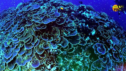 Top 10 sinkholes on Earth | Hindi | @uniquetv00 @utvproduction00