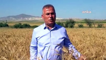 Base de blé annoncée, mais les commerçants achètent sous