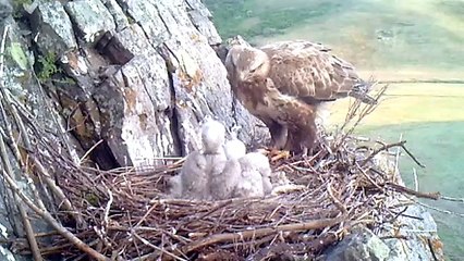 Çin'deki Hanshan Ulusal Doğa Koruma Alanı'nda Ekolojik İyileşme