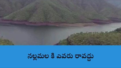 అచ్చంపేట: నల్లముల అడవికి నో ఎంట్రీ..