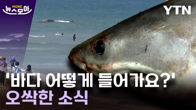 [뉴스모아] 본격 피서철 코앞인데…등골이 서늘한 소식 / YTN