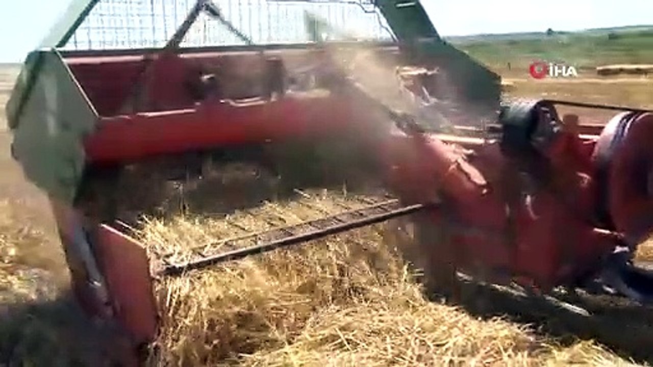 Die Heuschicht des thrakischen Bauern hat begonnen