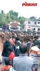 .गोव्याच्या मार्सल गावात रंगला चिखल कालो उत्सव