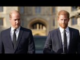 Fratelli a miglia di distanza: Harry e William registrano messaggi separati per i Diana Awards