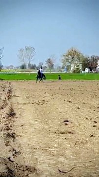 Tent pegging practice | Game of thrill | Cavalry sports | Ancient game