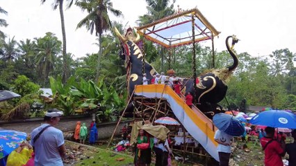 Lembu Raksasa 10 M Mengiringi Upacara Pelebon Semeton Arya Wang Bang Pinatih Antiga Karangasem Bali