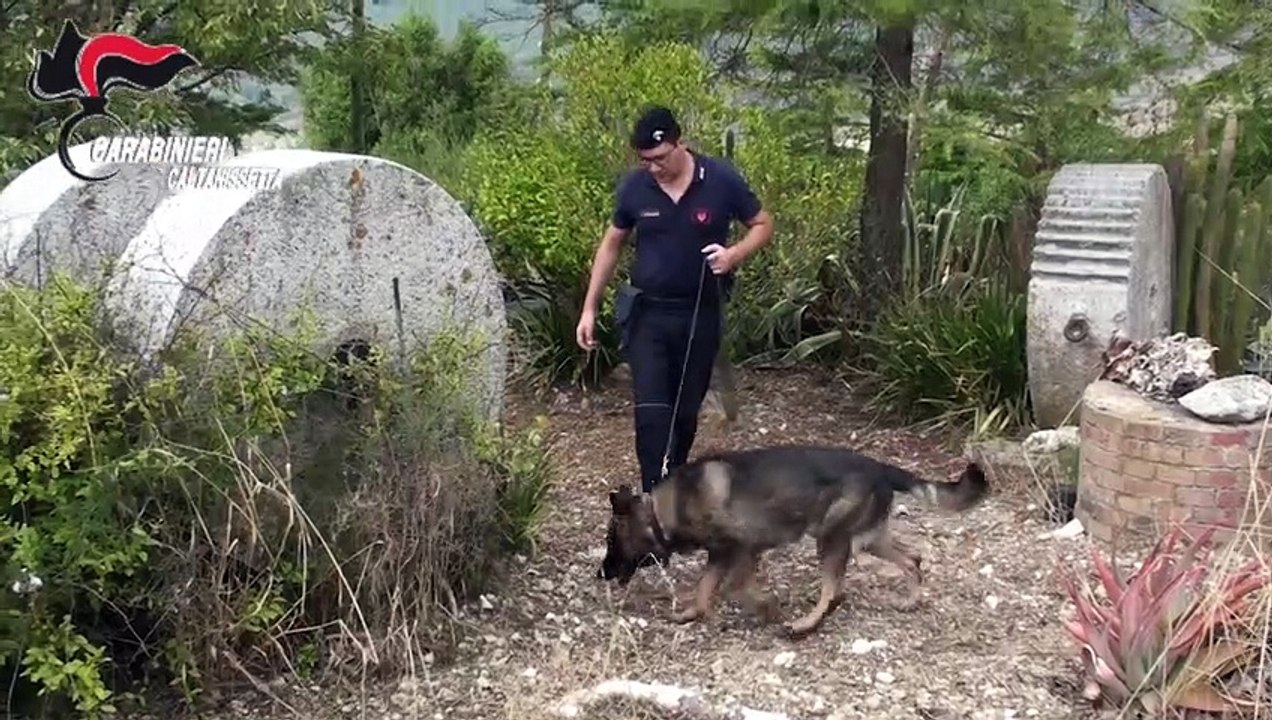 Racket della paglia a Gela: scattano gli arresti