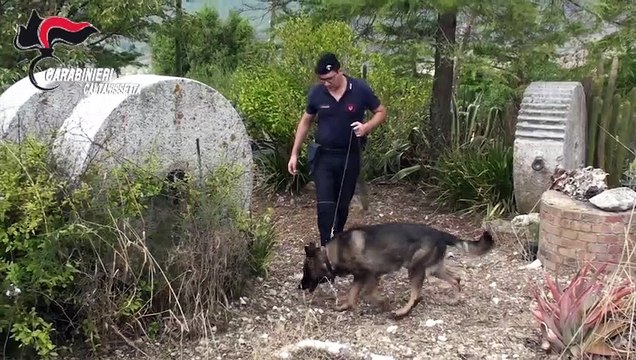 Racket della paglia a Gela: scattano gli arresti