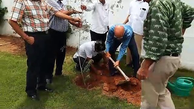 ​हरयाळो राजस्थान: पौधे रोपकर दिया हरियाली का संदेश, महावीर इंटरनेशनल की ओर से हुआ आयोजन