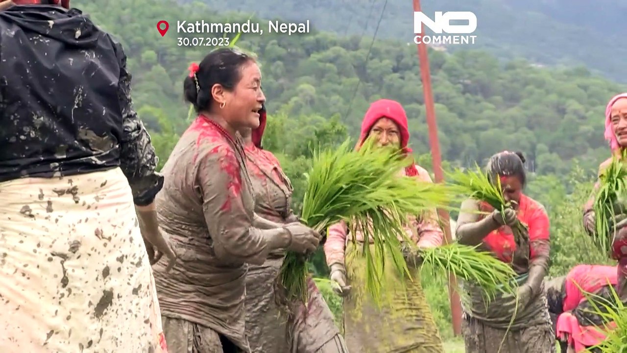 Festival do arroz no Nepal